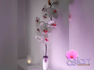 Instalaciones para masajes eróticos en Madrid